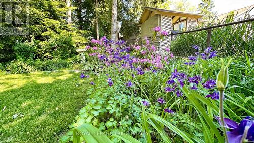 63 Lee Avenue, Norfolk (Simcoe), ON 