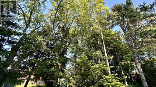 63 Lee Avenue, Norfolk (Simcoe), ON 
