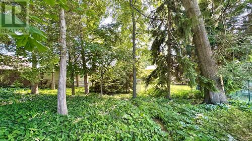 63 Lee Avenue, Norfolk (Simcoe), ON 