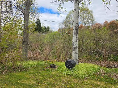 325 Main Street, Milltown, NL 