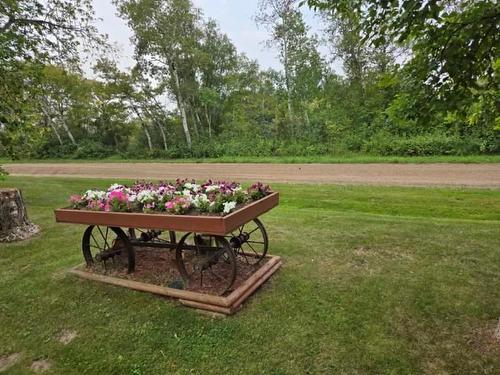 202 River Road, Swan River, MB 