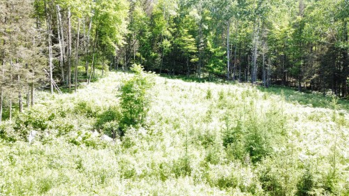 Terre/Terrain - 469 Ch. Du Pont-Couvert, La Macaza, QC 