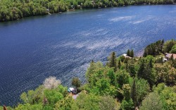 Overall view - 