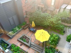Courtyard - 