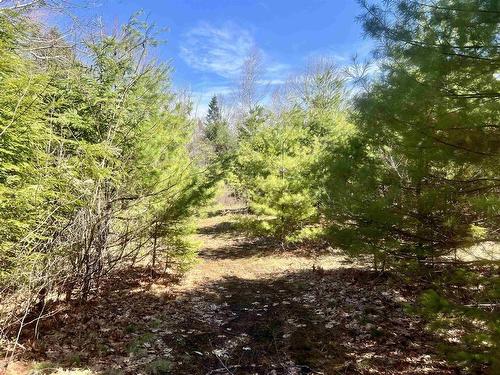 25 Dawson Lane, St. Croix, NS 