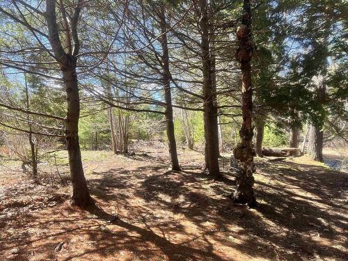 25 Dawson Lane, St. Croix, NS 