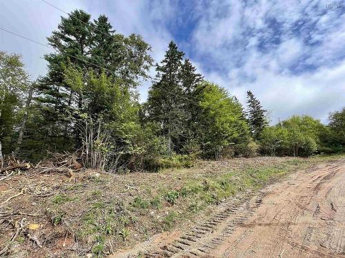 Orangedale-Iona Road, Orangedale, NS 