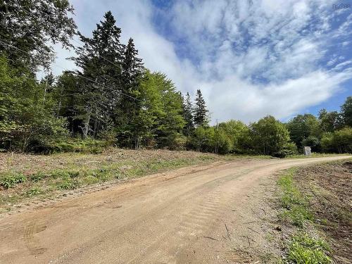 Orangedale-Iona Road, Orangedale, NS 