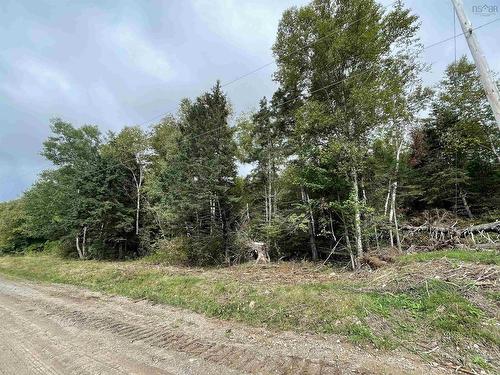 Orangedale-Iona Road, Orangedale, NS 