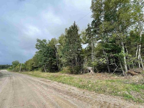 Orangedale-Iona Road, Orangedale, NS 