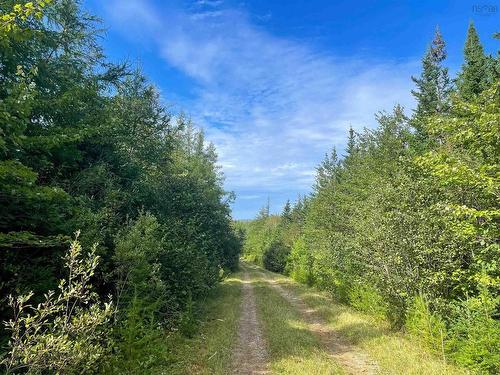 Orangedale-Iona Road, Orangedale, NS 