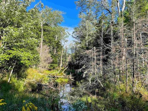 Orangedale-Iona Road, Orangedale, NS 