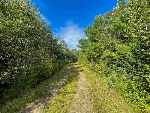 Orangedale-Iona Road, Orangedale, NS 