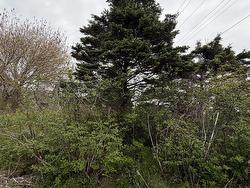 3661 Highway 217 East Ferry, NS B0V 1E0