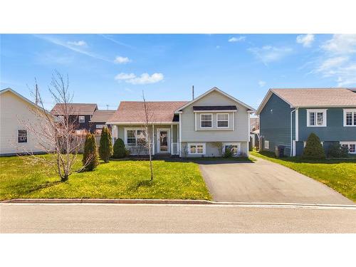 14 Croydon Street  Paradise, NL A1L 1P7