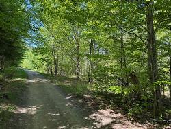 124 Greenhill Lake RD  Green Hill, NB E6E 1G2