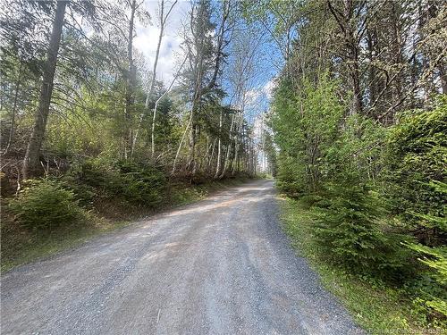 365 Route 180, Saint-Quentin, NB 