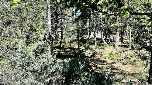 Lot 35 Copper Point Way, Windermere, BC 