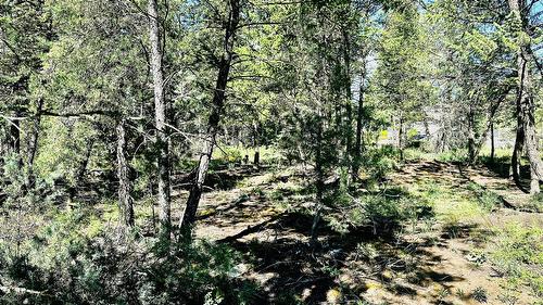 Lot 35 Copper Point Way, Windermere, BC 
