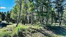 Lot 35 Copper Point Way, Windermere, BC 