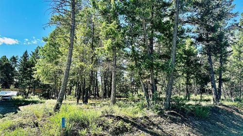 Lot 35 Copper Point Way, Windermere, BC 