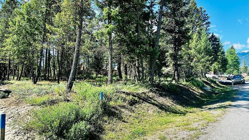 Lot 35 Copper Point Way, Windermere, BC 