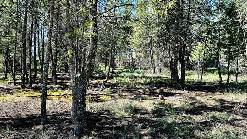Lot 35 Copper Point Way, Windermere, BC 