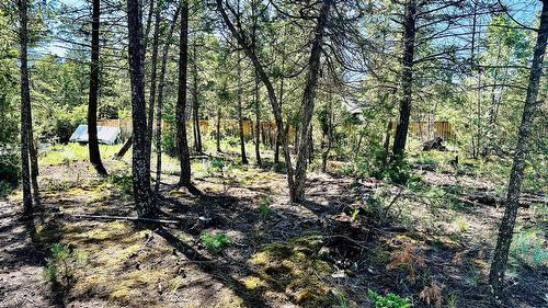 Lot 35 Copper Point Way, Windermere, BC 