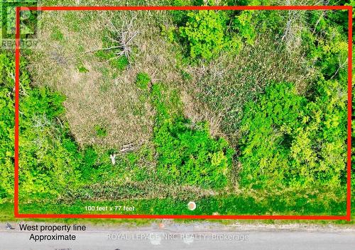 100 feet x 77 feet - 26 Shaw Street, Welland (Broadway), ON 