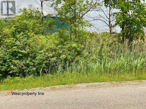 INSH Zoning with many permitted uses - 26 Shaw Street, Welland (Broadway), ON 