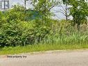 INSH Zoning with many permitted uses - 26 Shaw Street, Welland (Broadway), ON 