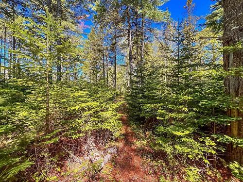 7822 Highway 3, Martins River, NS 