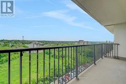 East facing views - 