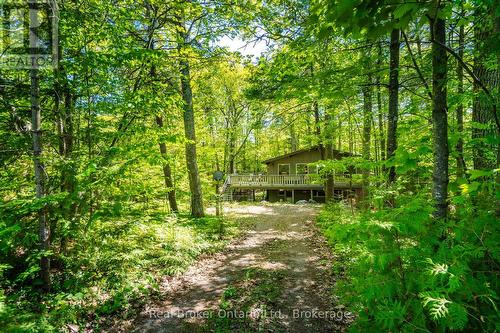 208 Desroches Trail, Tiny, ON 