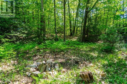 208 Desroches Trail, Tiny, ON 