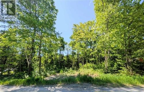 31 Eldon, Whitefish, ON 