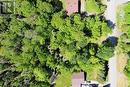 31 Eldon, Whitefish, ON 