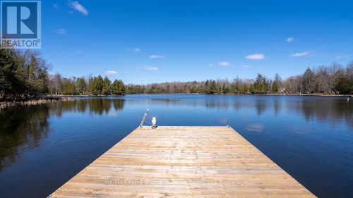 Newer docking system - 5 Meharg Drive, Mckellar, ON 