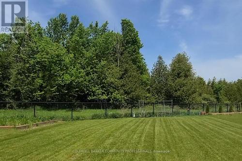 266 Chippewa Avenue, Shelburne, ON 