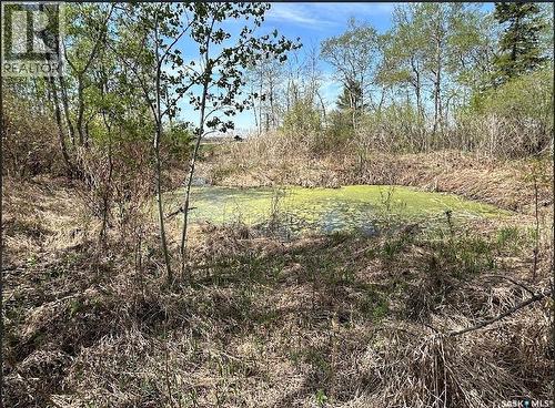 Invermay Acreage, Invermay Rm No. 305, SK 