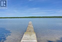 Your Dock - 
