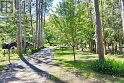 Driveway to Your Home at 2284 South Orr Lake - 