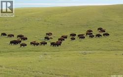 925 Acres Pasture Near Admiral  Wise Creek Rm No. 77, SK S0N 0B0