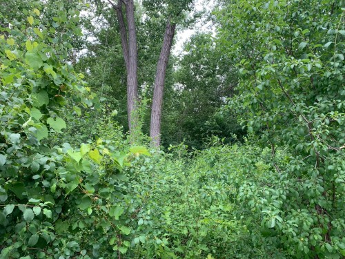Terre/Terrain - 100E Avenue, Laval (Chomedey), QC 