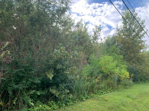 Terre/Terrain - 100E Avenue, Laval (Chomedey), QC 