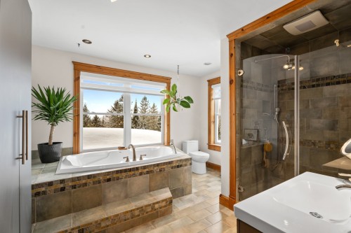 Bathroom - 21 Imp. Des Chevreuils, Sainte-Agathe-Des-Monts, QC 