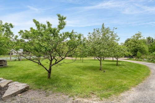 Terre/Terrain - 280 Ch. De Fulford, Lac-Brome, QC 