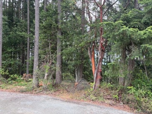 293 Adderly Rd, Nanaimo, BC 