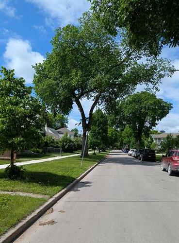 332 Notre Dame St, Winnipeg, MB 