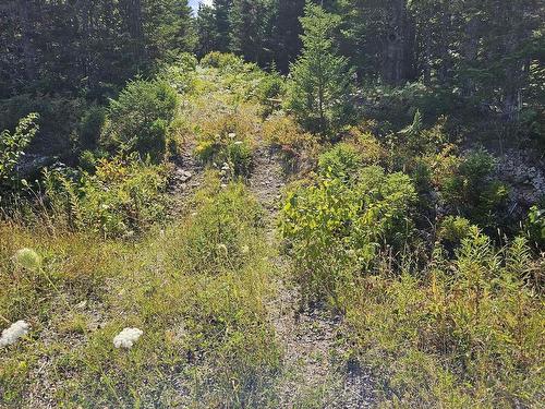 Cogswell Road, Evanston, NS 